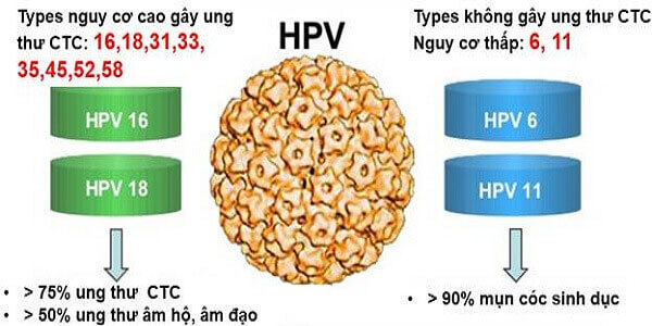 Virus HPV gây ra chứng bệnh gì?
