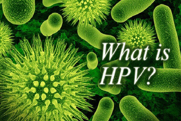 Virus HPV là gì?